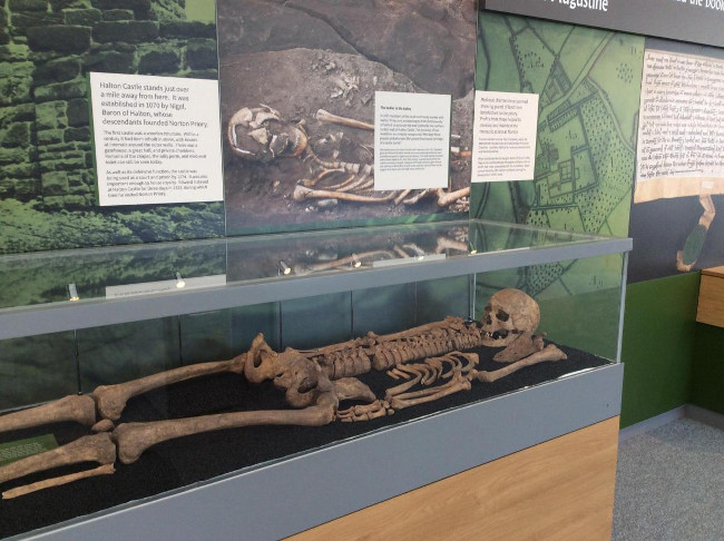 Medieval skeletons found at Halton Castle were first displayed Picture 2