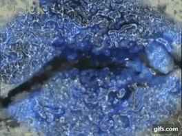 Metaphysics challenge all laws of physics Picture 10