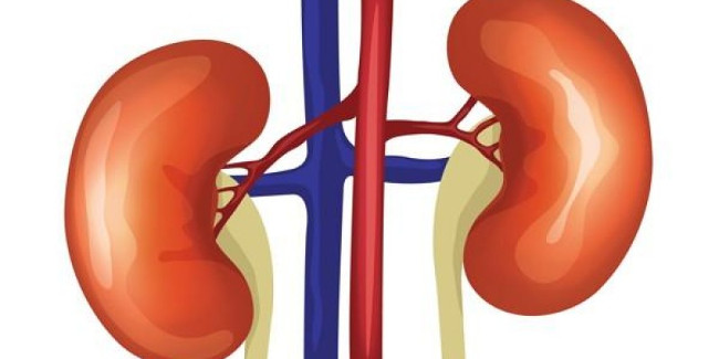 Method to help eliminate toxic body, everyone should know Picture 3