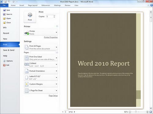 Microsoft launched Office 2010 Picture 3