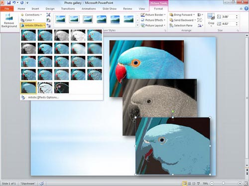 Microsoft launched Office 2010 Picture 6