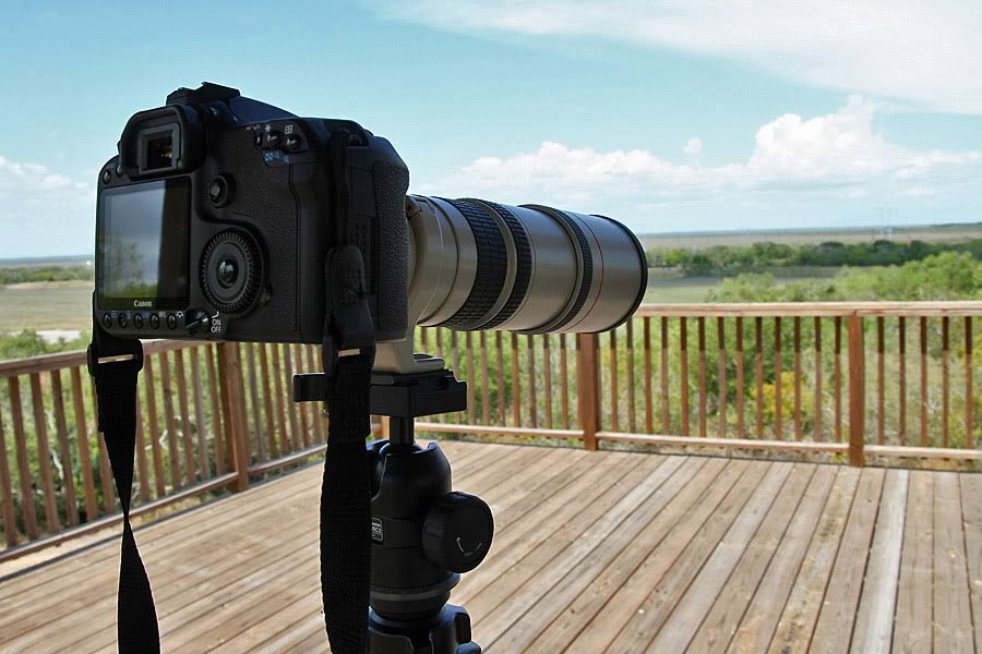 Mistakes when using white balance in taking photos Picture 5