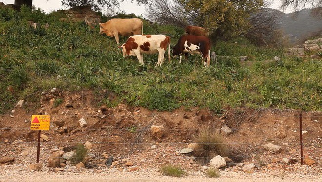 Movies have made us look down on bombs and mines like this Picture 9