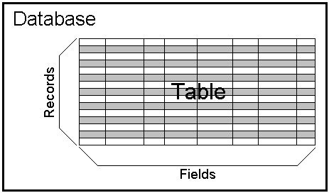 MS Access 2003 - Lesson 1: Chapter 1: Terminology Access Picture 5