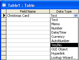 MS Access 2003 - Lesson 11: Chapter 3: Customizing components Picture 6