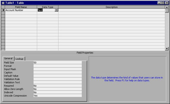 MS Access 2003 - Lesson 15: Create an initial table Picture 3