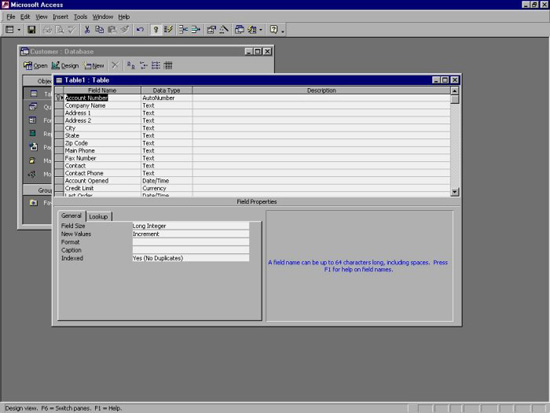 MS Access 2003 - Lesson 15: Create an initial table Picture 7