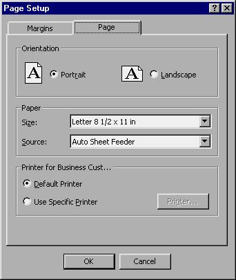 MS Access 2003 - Lesson 26: Adjust the print page Picture 2
