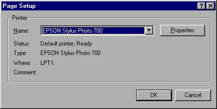 MS Access 2003 - Lesson 26: Adjust the print page Picture 3