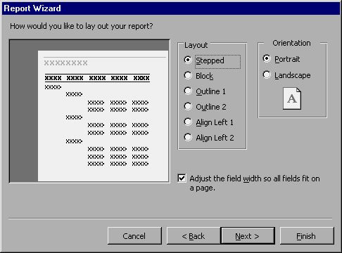 MS Access 2003 - Lesson 31: Creating a Report Picture 5