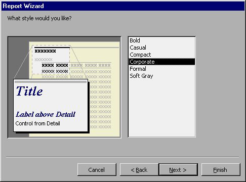MS Access 2003 - Lesson 31: Creating a Report Picture 6