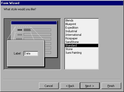 MS Access 2003 - Lesson 35: Creating a Form using the Form Wizards Picture 5