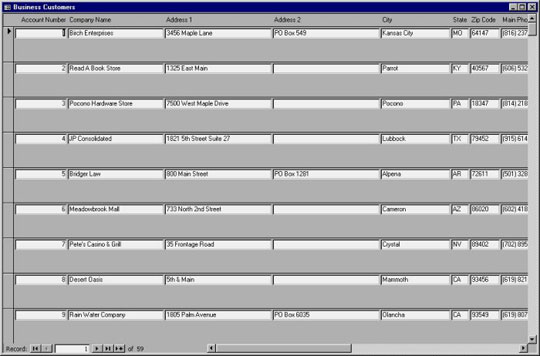 MS Access 2003 - Lesson 35: Creating a Form using the Form Wizards Picture 8