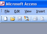 MS Access 2003 - Lesson 4: Exit Access Picture 2