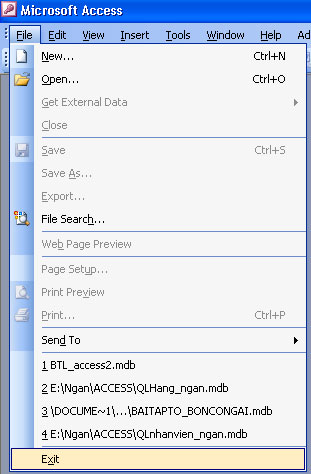 MS Access 2003 - Lesson 4: Exit Access Picture 3