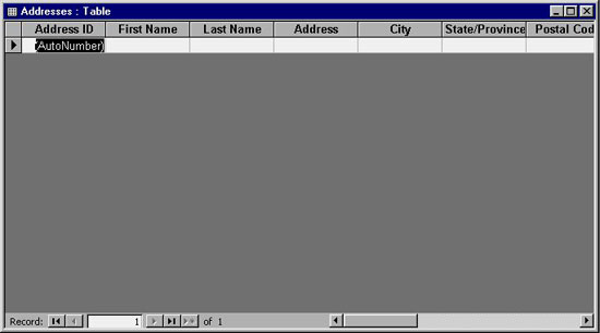 MS Access 2003 - Lesson 7: Enter information for the table Picture 1