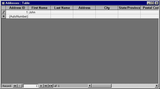 MS Access 2003 - Lesson 7: Enter information for the table Picture 2
