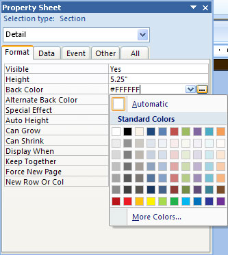 MS Access 2007 - Lesson 12: Design Forms Picture 3