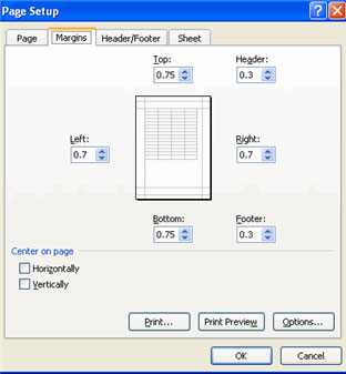 MS Excel 2007 - Lesson 13: Format sheets and prints Picture 5