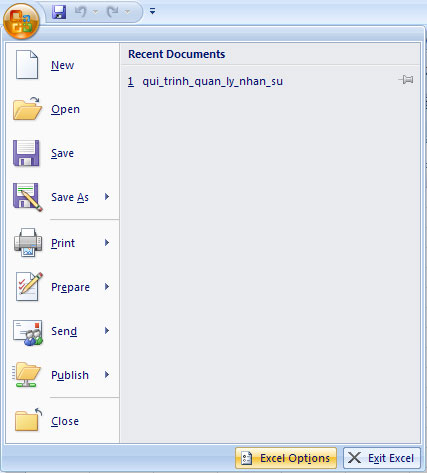 MS Excel 2007 - Lesson 2: Customizing in Excel Picture 1