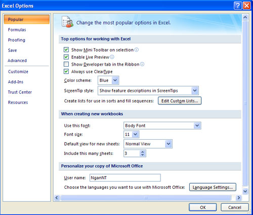 MS Excel 2007 - Lesson 2: Customizing in Excel Picture 2