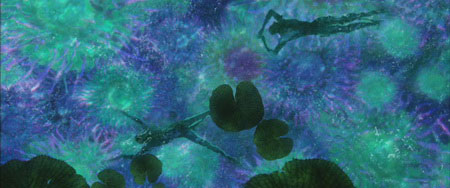 Mysterious graphic world in the movie Avatar Picture 12