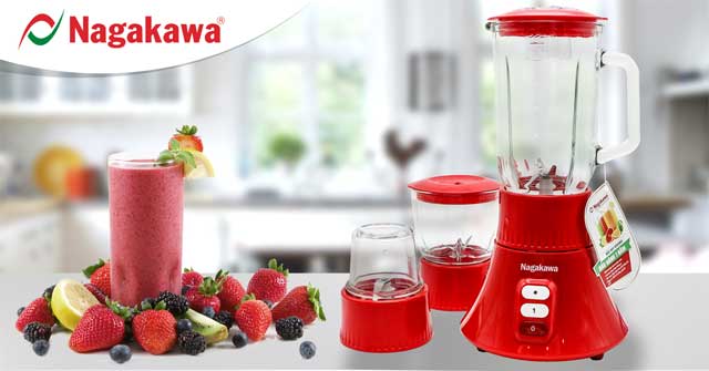 Nagakawa's top 5 cheap blenders from 500K Picture 2