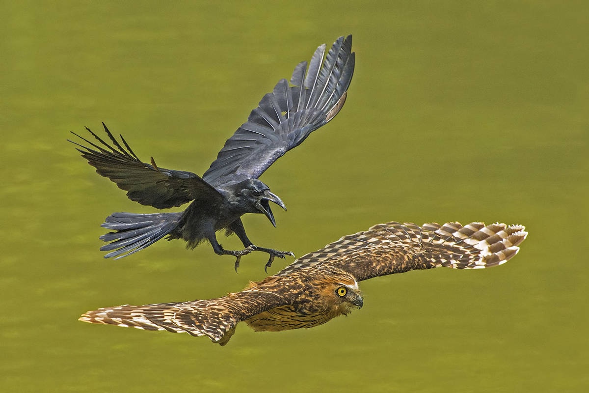 National Geographic: 19 wonderful natural photos 2016 Picture 1