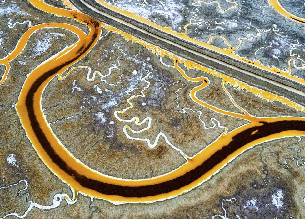 National Geographic: 19 wonderful natural photos 2016 Picture 10