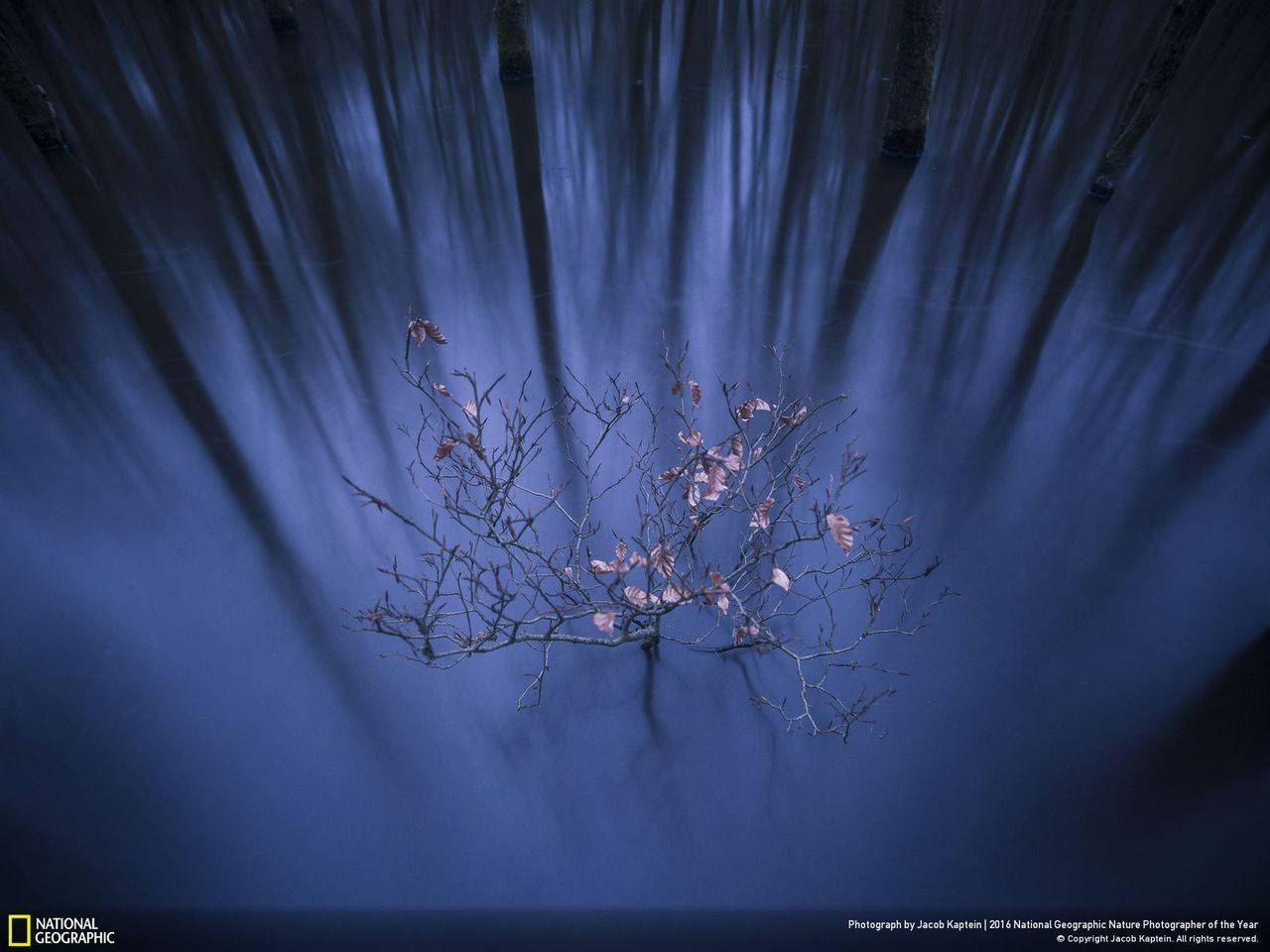 National Geographic: 19 wonderful natural photos 2016 Picture 15
