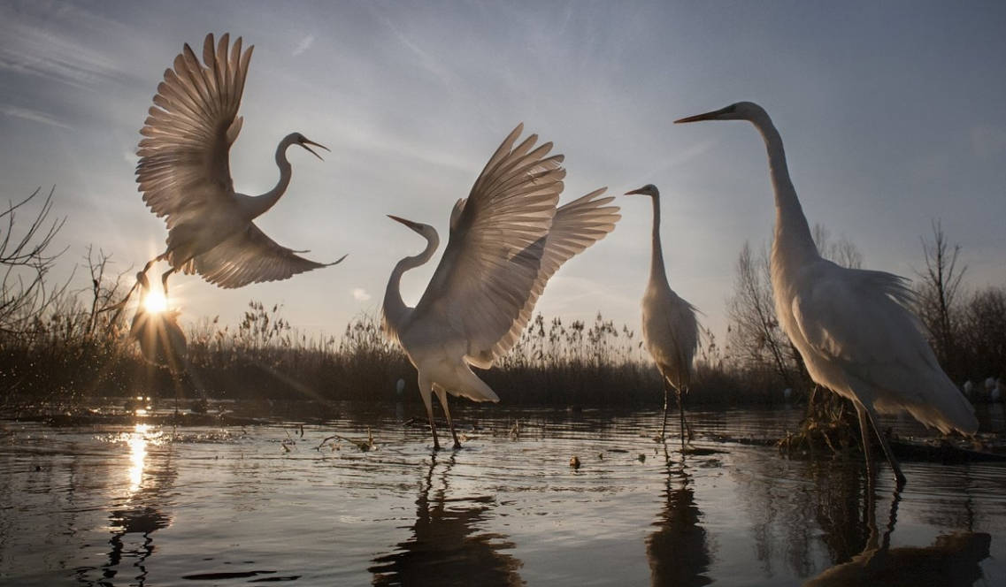 National Geographic: 19 wonderful natural photos 2016 Picture 17