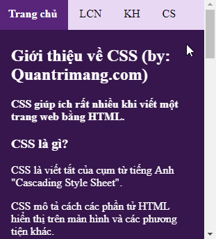 Navigation Bar - Navigation Bar in CSS Picture 13