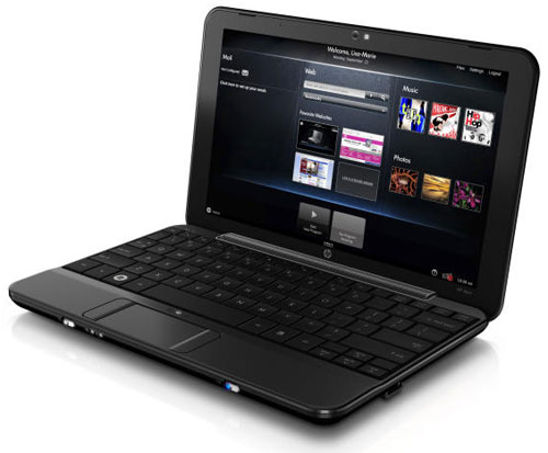 Netbook replaced laptop during crisis Picture 2