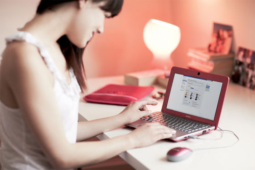 Netbooks sold twice as fast as last year Picture 2