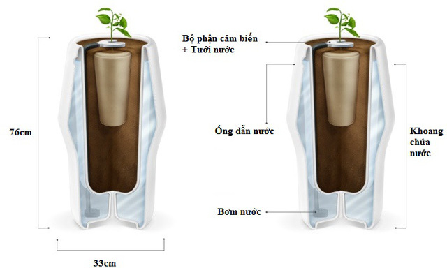 New burial method: turning dead people into trees Picture 4