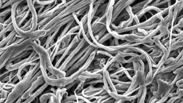New nanofibers incorporate high durability just launched Picture 1