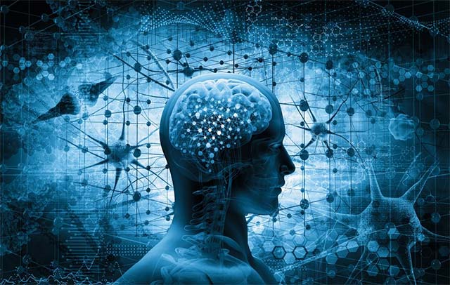 New research in mice shows why sleep can sometimes make you forgetful Picture 1