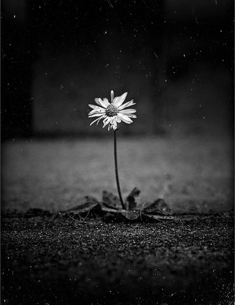 Nice dust texture Picture 4