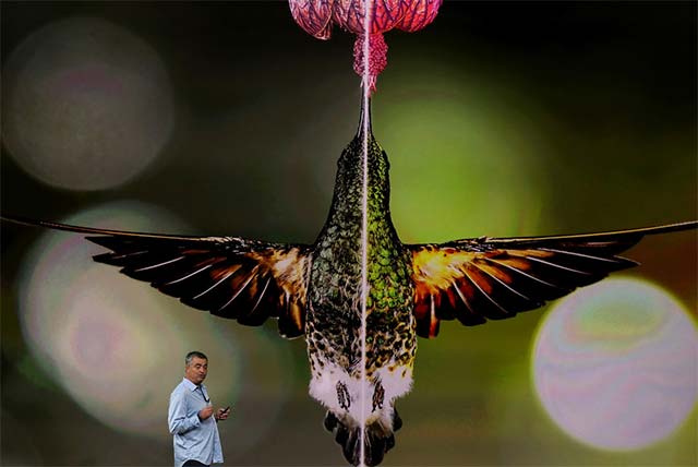 Not 4k, new HDR is something you need to pay special attention to when choosing to buy a TV Picture 5