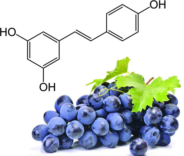 Not dieting, this is the new method of preventing obesity Picture 4