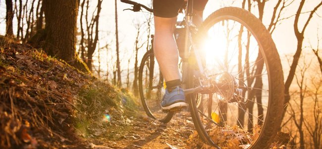 Not money, but the most valuable asset in everyone's life? Picture 3