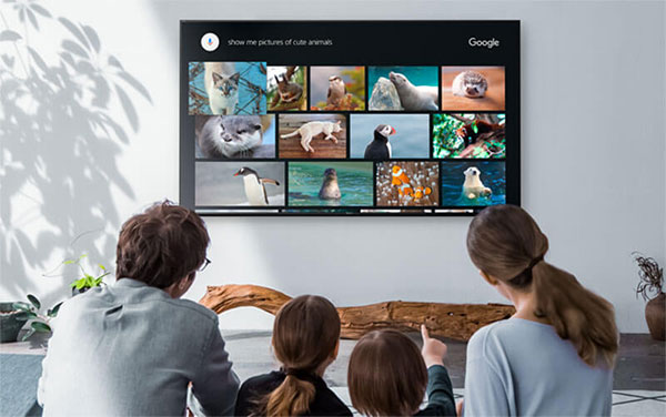 Notes when using web browser on TV Picture 1