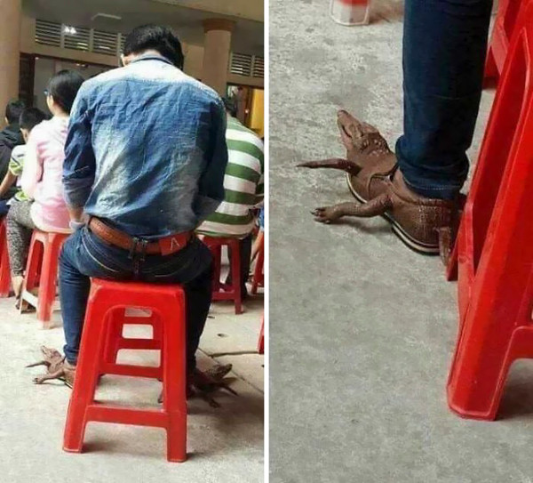 Odd pictures make it impossible for viewers to watch Picture 23