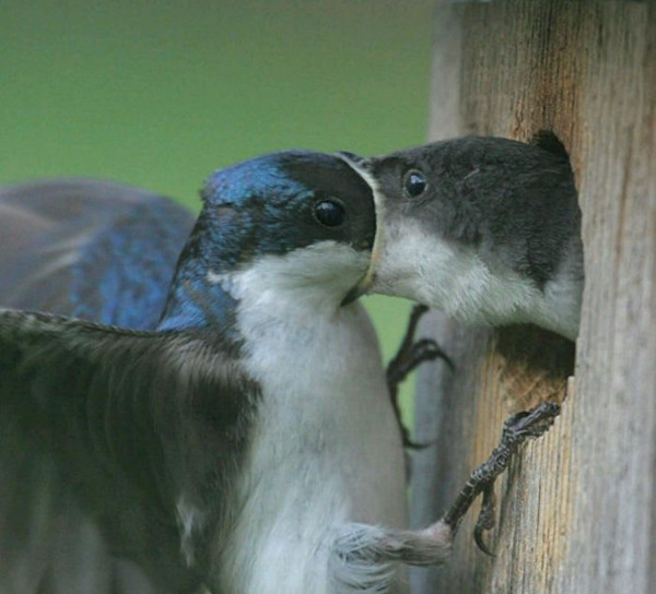 Odd pictures make it impossible for viewers to watch Picture 25