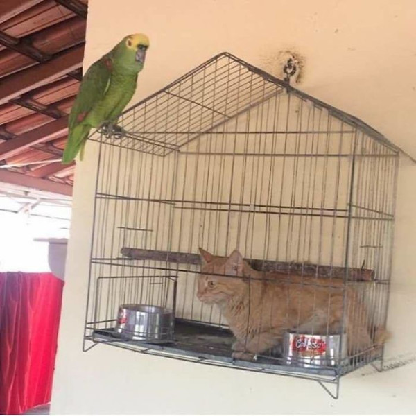 Odd pictures make it impossible for viewers to watch Picture 38