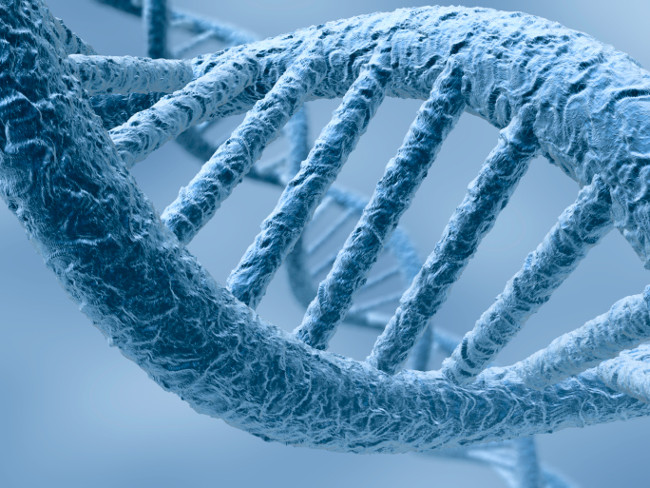 Officially finding new strains of enzymes leading to suicidal behavior Picture 1