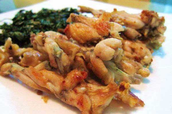 Oil-free fryer - Collection of 50+ delicious recipes easy to make Picture 2