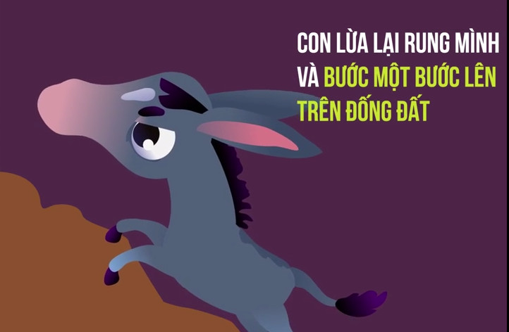 Old donkey story and thoughtful life lesson Picture 13