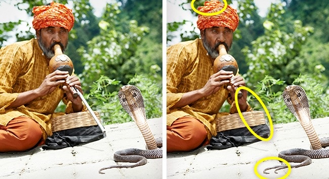 Only genius can find all the differences in the 9 pictures below Picture 12