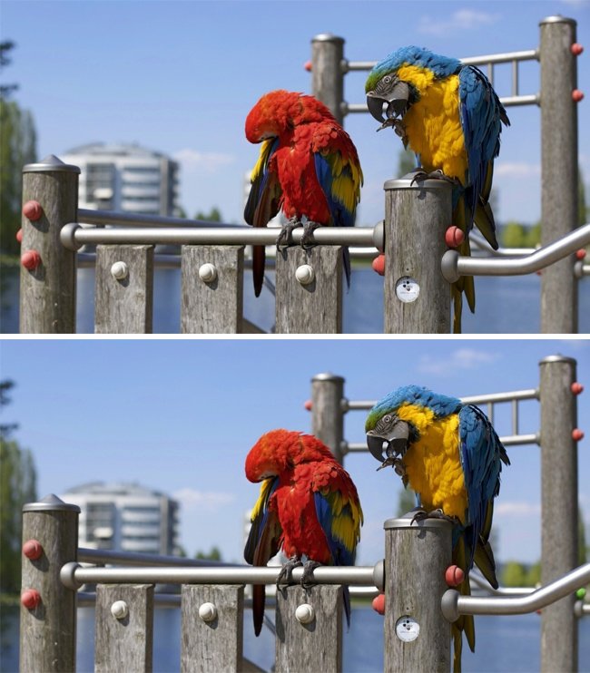 Only the genius finds all the differences in these 16 photos! Picture 12